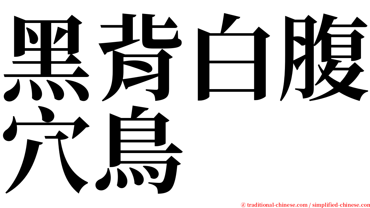 黑背白腹穴鳥 serif font