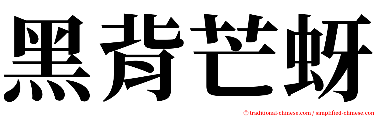 黑背芒蚜 serif font