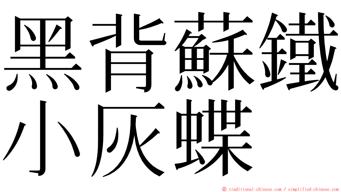 黑背蘇鐵小灰蝶 ming font