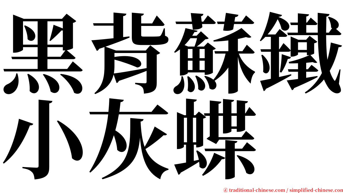黑背蘇鐵小灰蝶 serif font