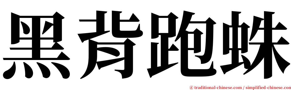 黑背跑蛛 serif font