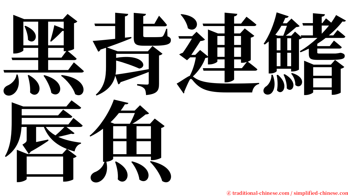 黑背連鰭唇魚 serif font