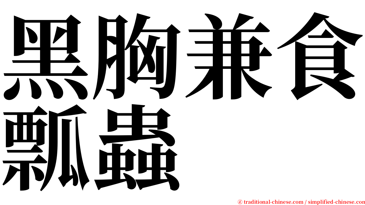 黑胸兼食瓢蟲 serif font