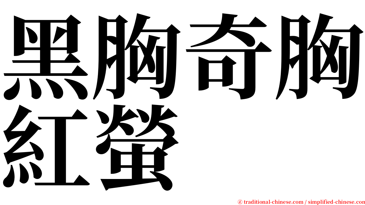 黑胸奇胸紅螢 serif font