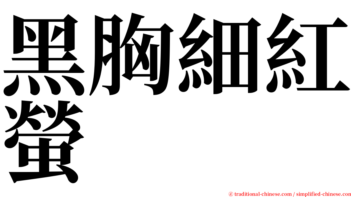 黑胸細紅螢 serif font