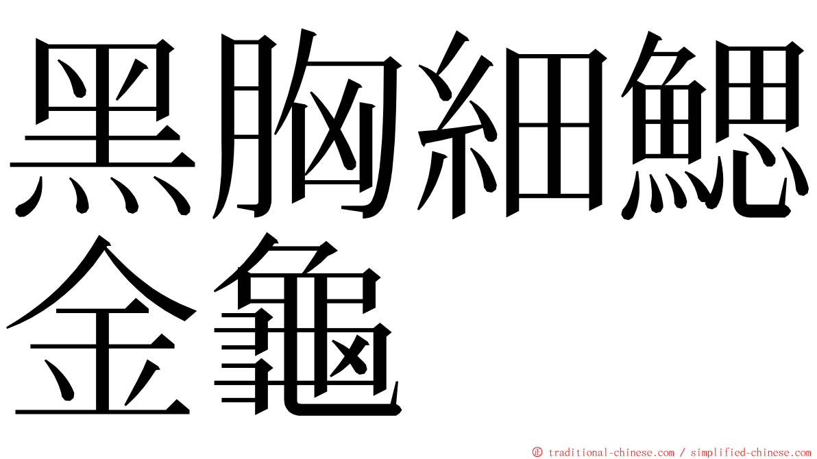 黑胸細鰓金龜 ming font
