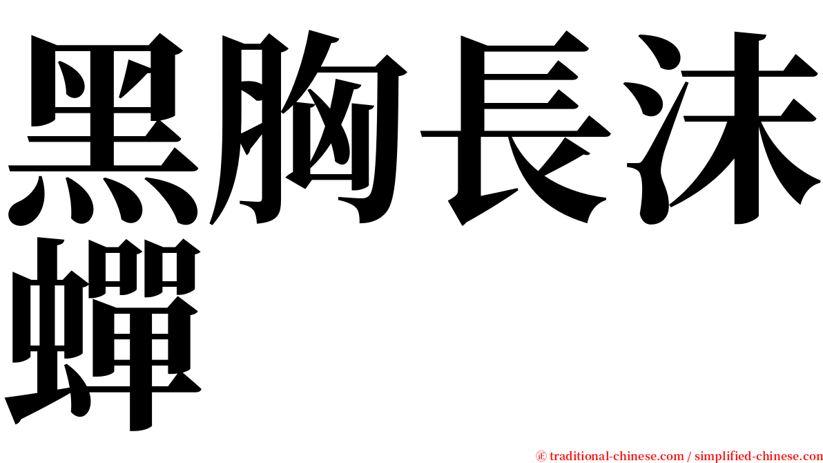 黑胸長沫蟬 serif font