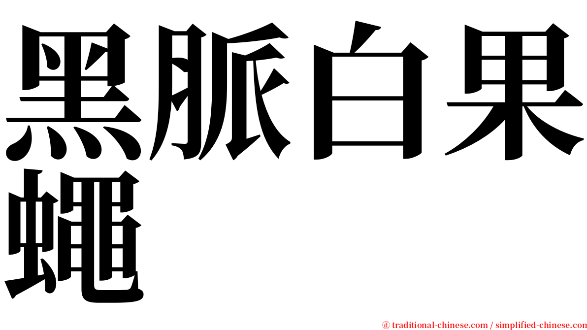 黑脈白果蠅 serif font