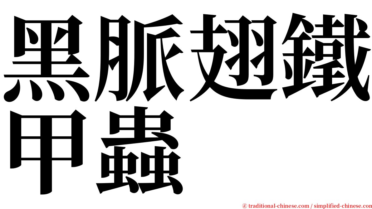 黑脈翅鐵甲蟲 serif font