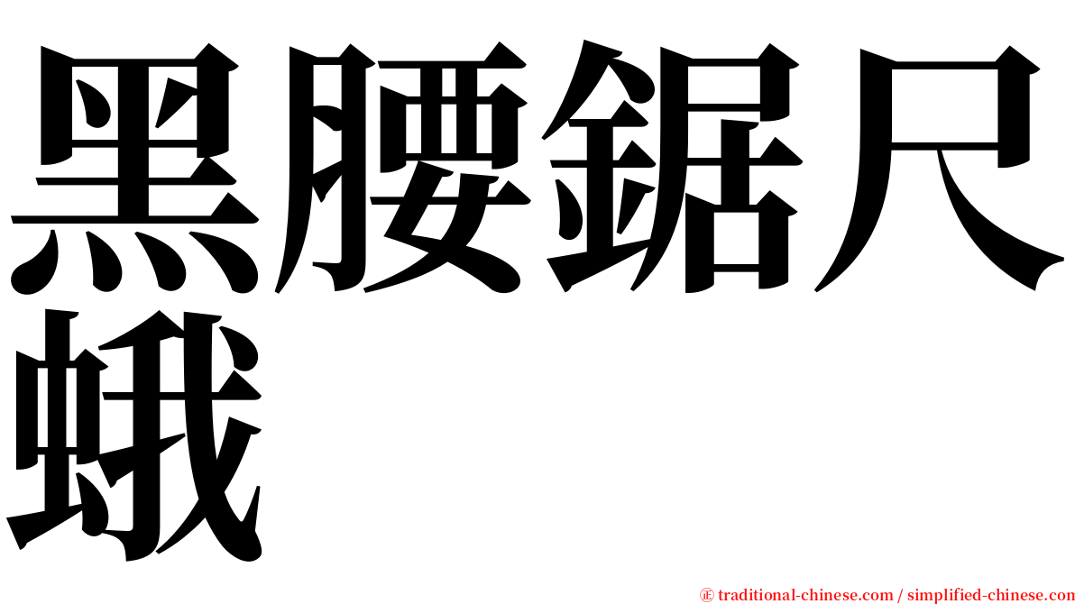 黑腰鋸尺蛾 serif font