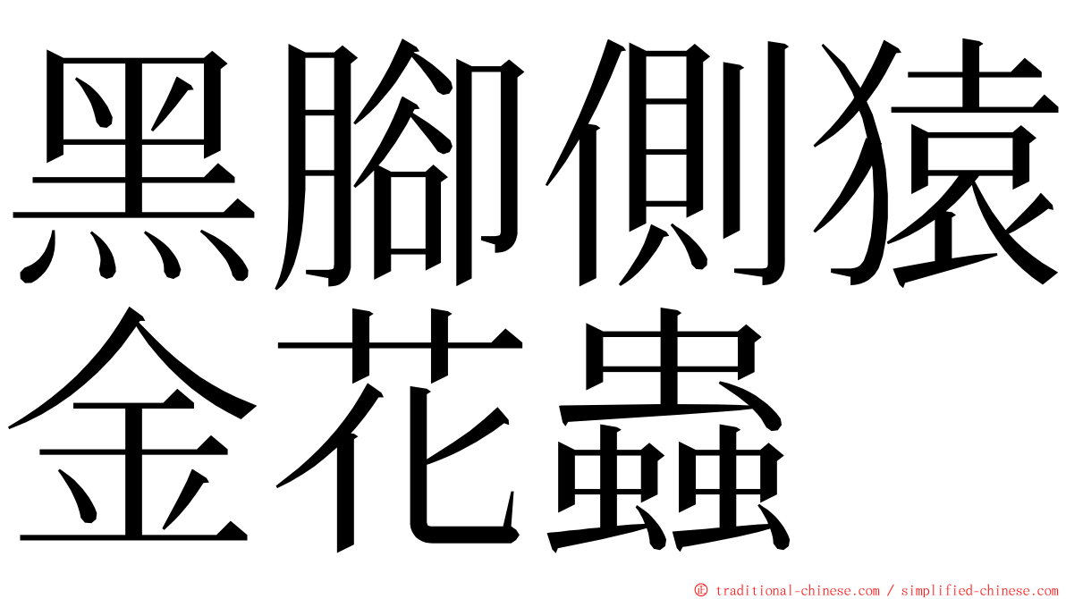 黑腳側猿金花蟲 ming font