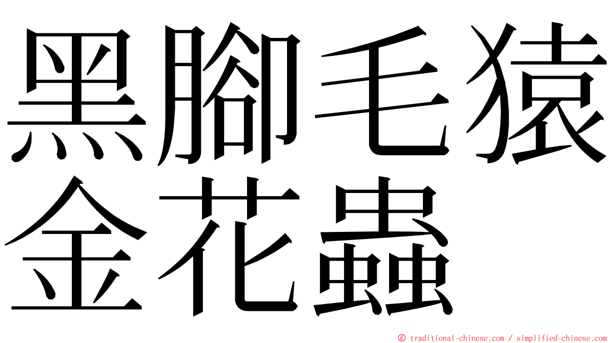 黑腳毛猿金花蟲 ming font