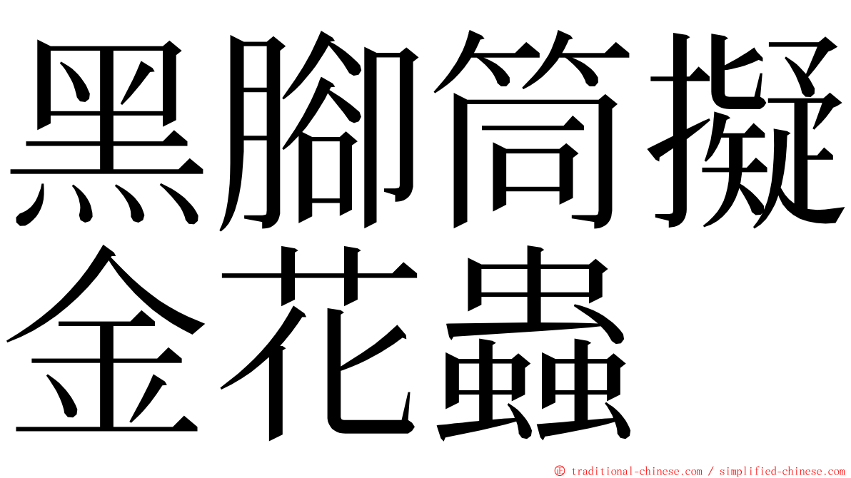 黑腳筒擬金花蟲 ming font