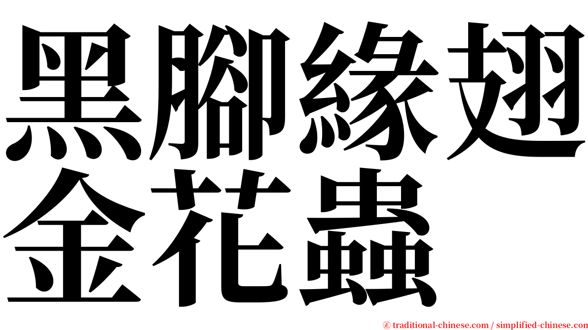 黑腳緣翅金花蟲 serif font