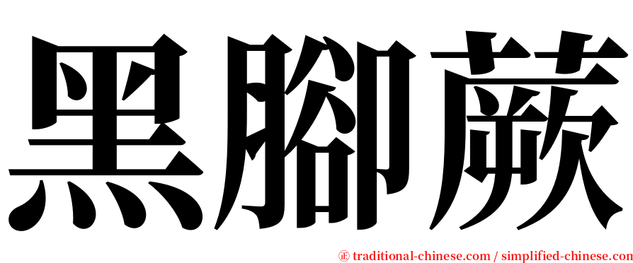 黑腳蕨 serif font