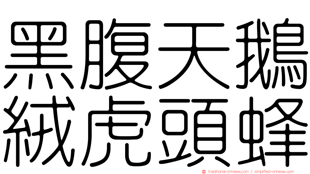 黑腹天鵝絨虎頭蜂