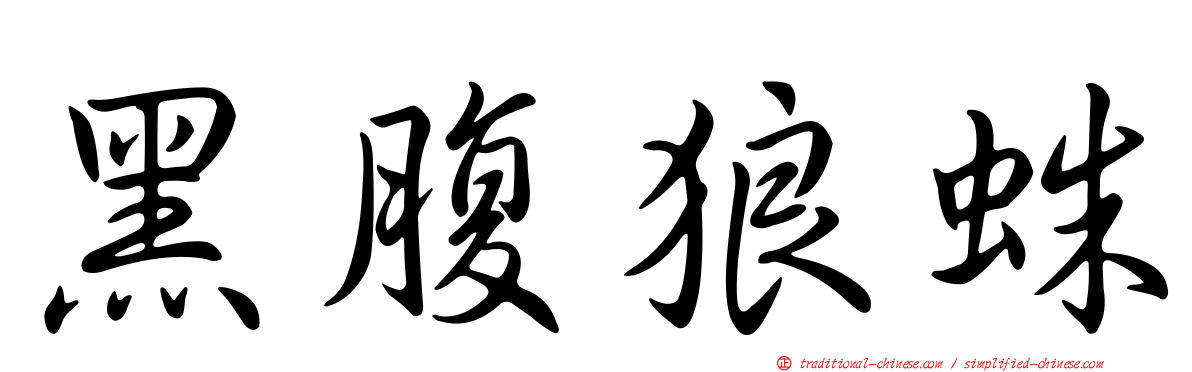 黑腹狼蛛