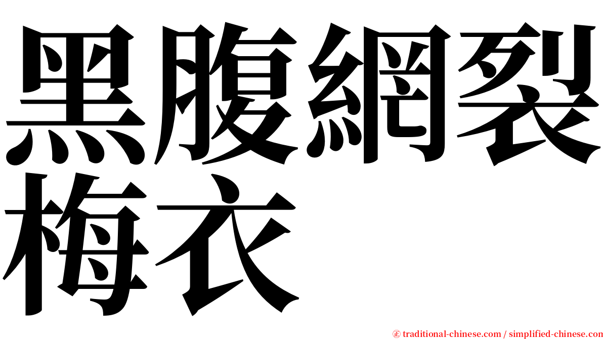 黑腹網裂梅衣 serif font