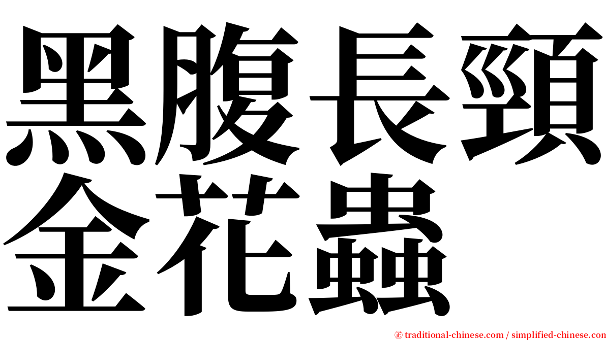 黑腹長頸金花蟲 serif font