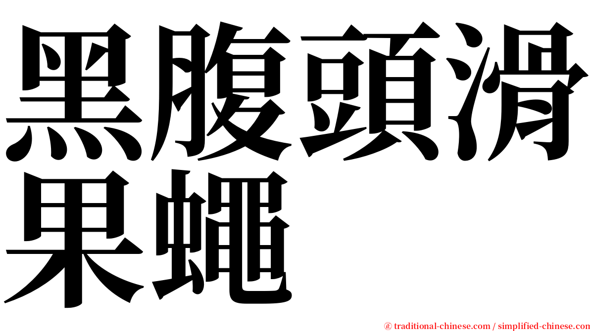 黑腹頭滑果蠅 serif font