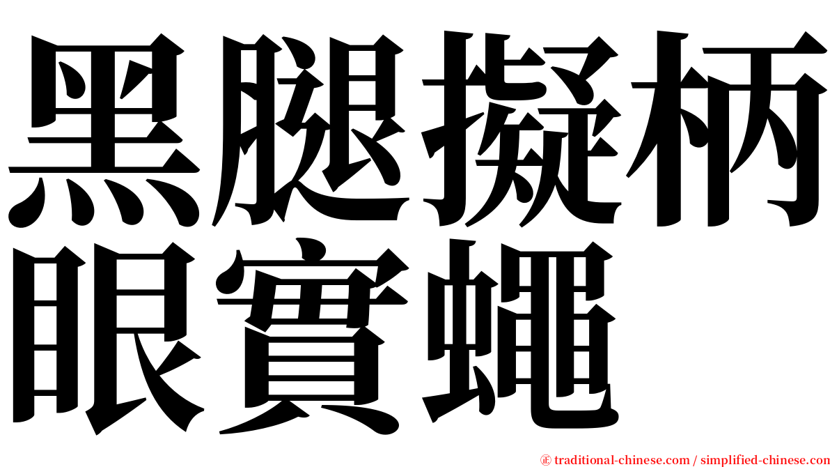 黑腿擬柄眼實蠅 serif font