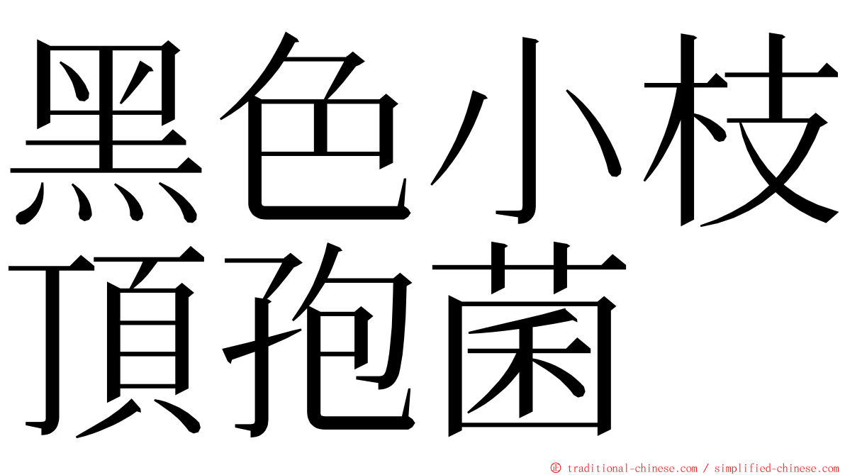 黑色小枝頂孢菌 ming font