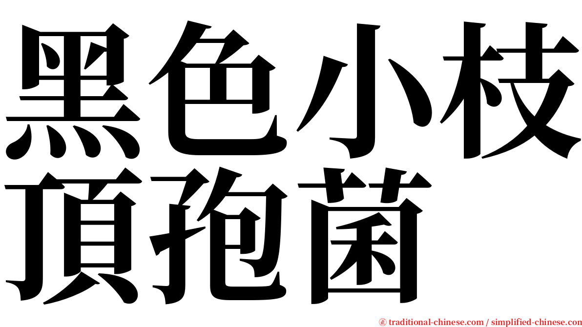 黑色小枝頂孢菌 serif font