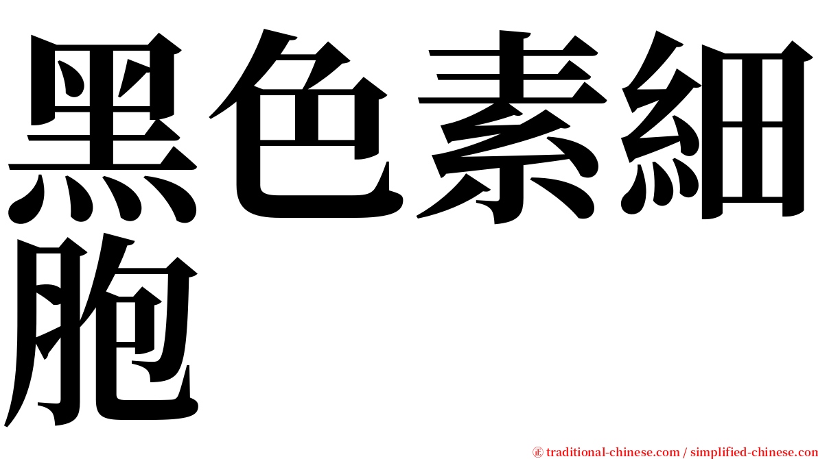 黑色素細胞 serif font