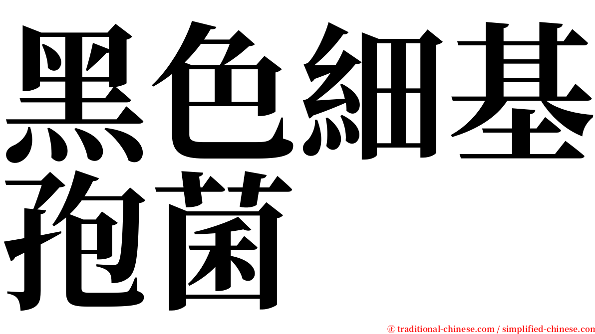 黑色細基孢菌 serif font