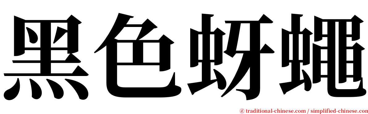 黑色蚜蠅 serif font