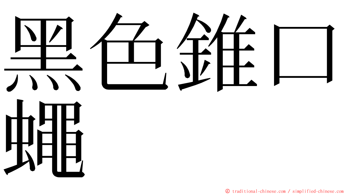 黑色錐口蠅 ming font