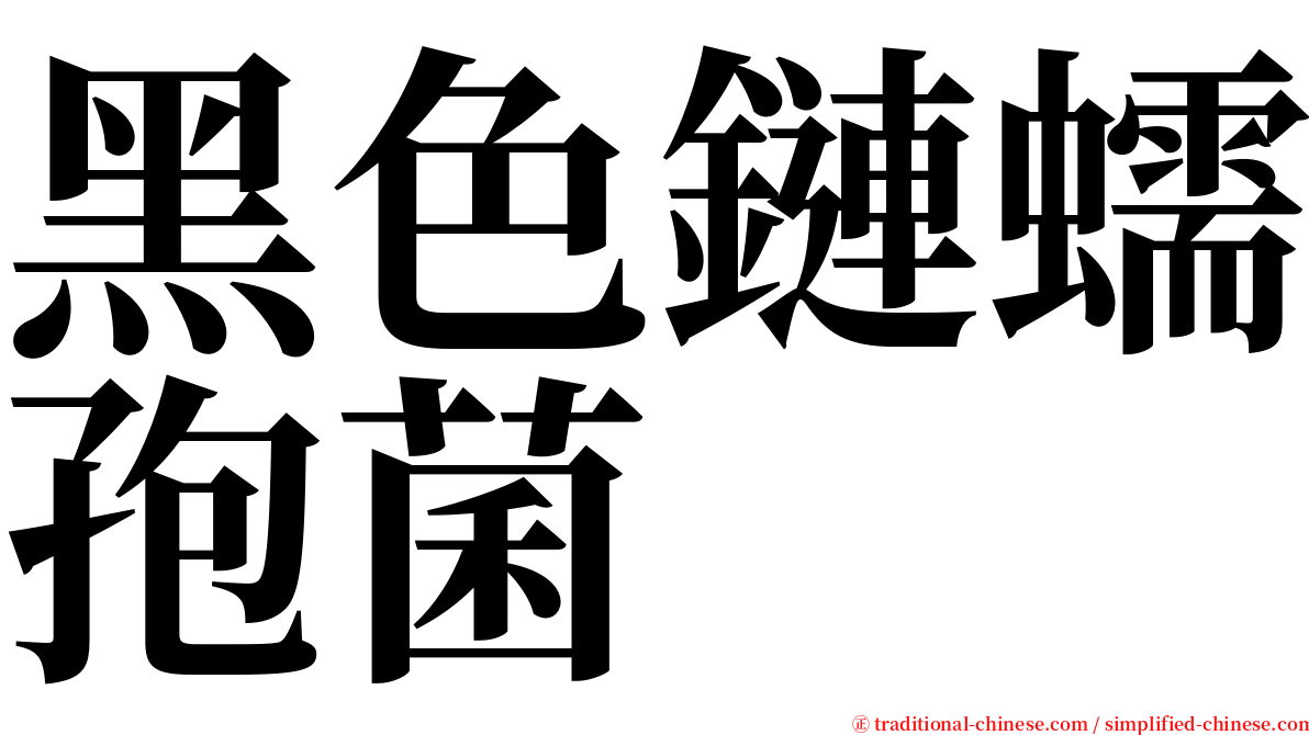 黑色鏈蠕孢菌 serif font