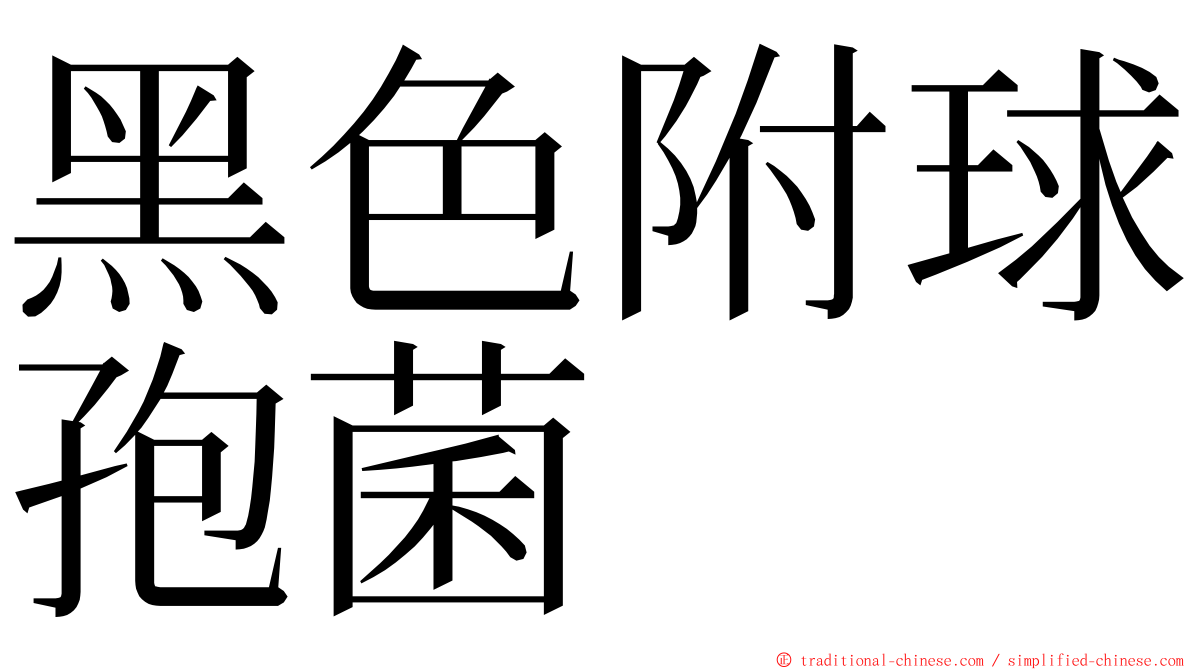 黑色附球孢菌 ming font