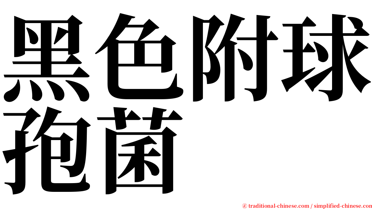 黑色附球孢菌 serif font