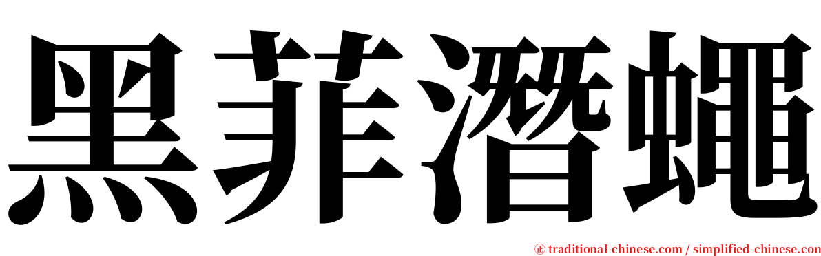 黑菲潛蠅 serif font