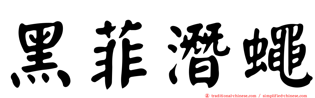 黑菲潛蠅