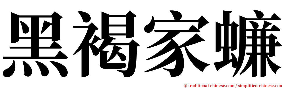 黑褐家蠊 serif font