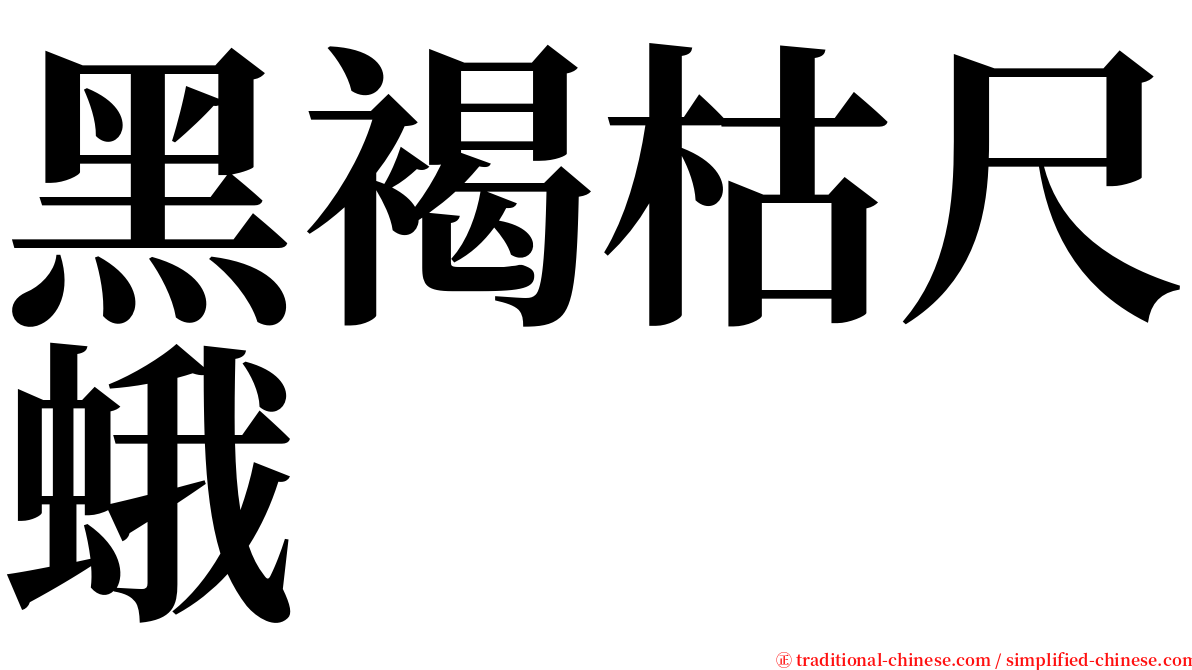 黑褐枯尺蛾 serif font