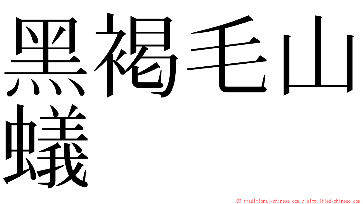 黑褐毛山蟻 ming font