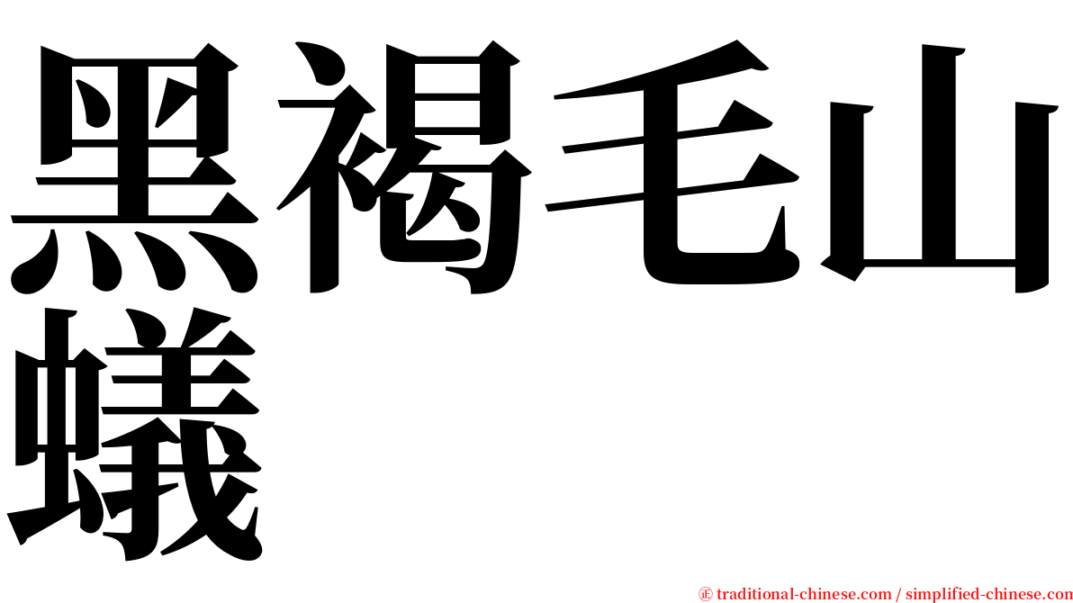 黑褐毛山蟻 serif font