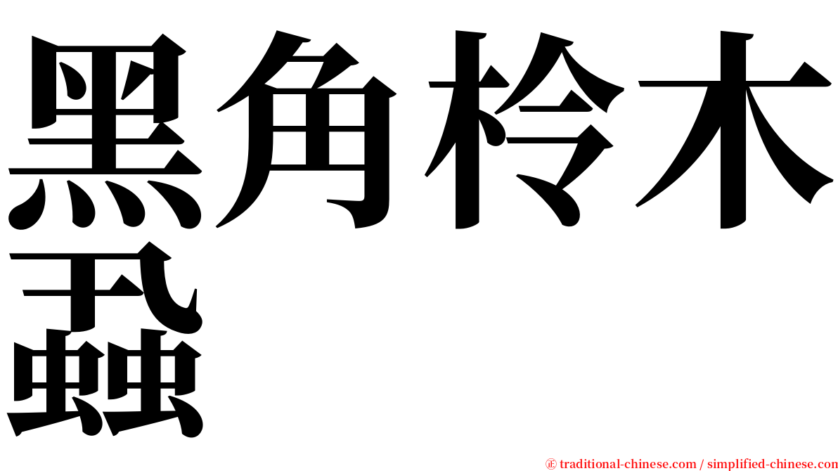 黑角柃木蝨 serif font