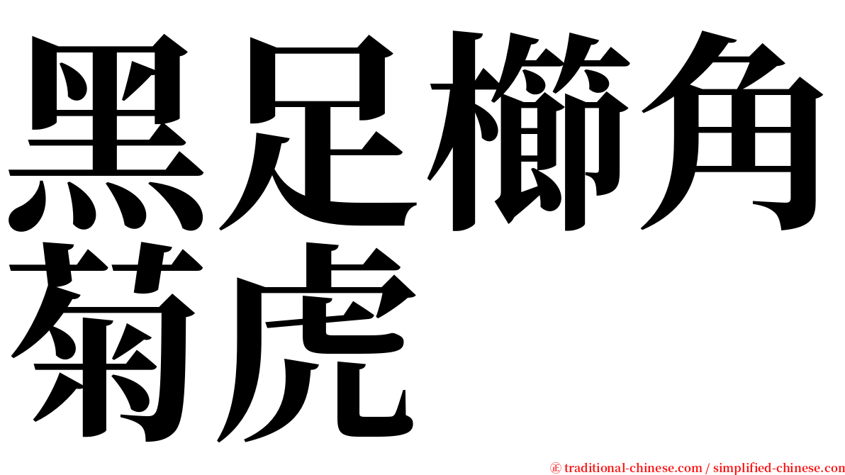 黑足櫛角菊虎 serif font