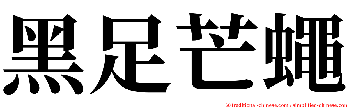 黑足芒蠅 serif font