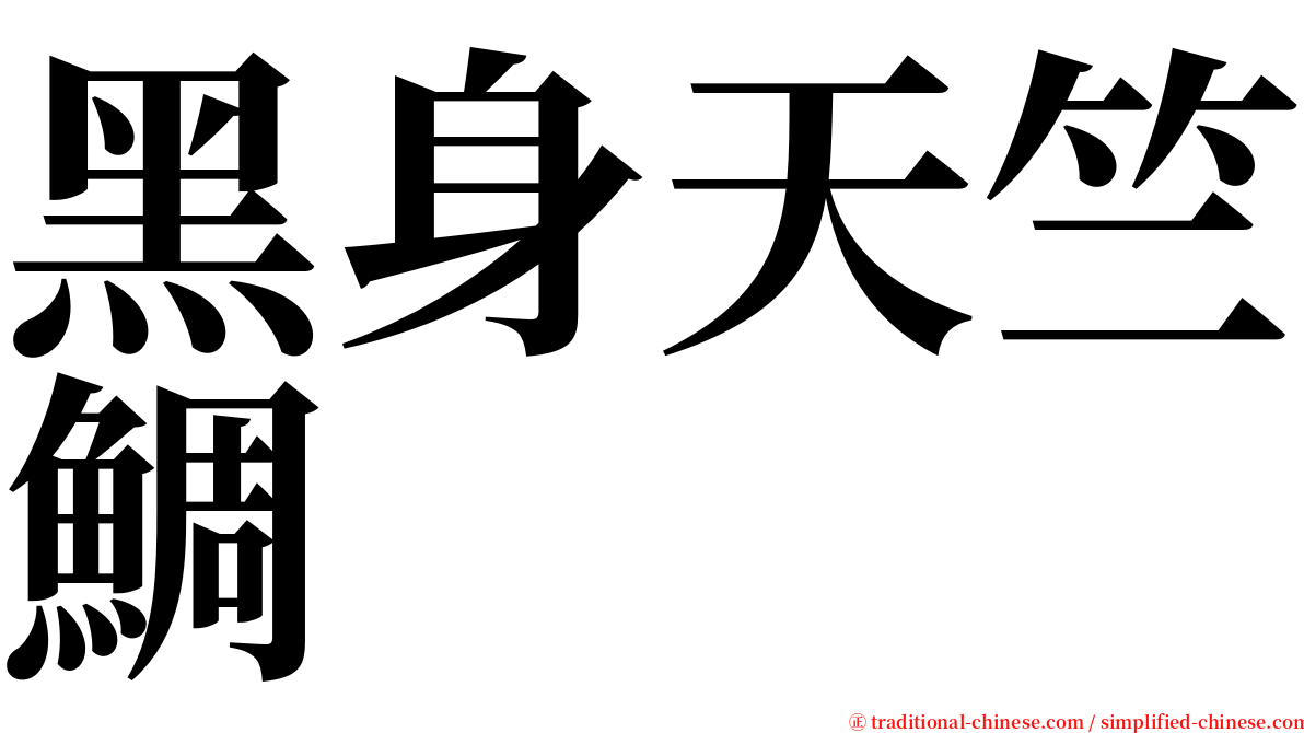 黑身天竺鯛 serif font