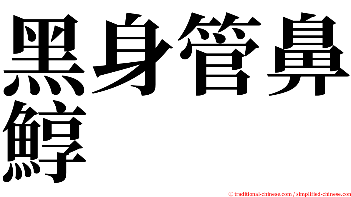 黑身管鼻鯙 serif font