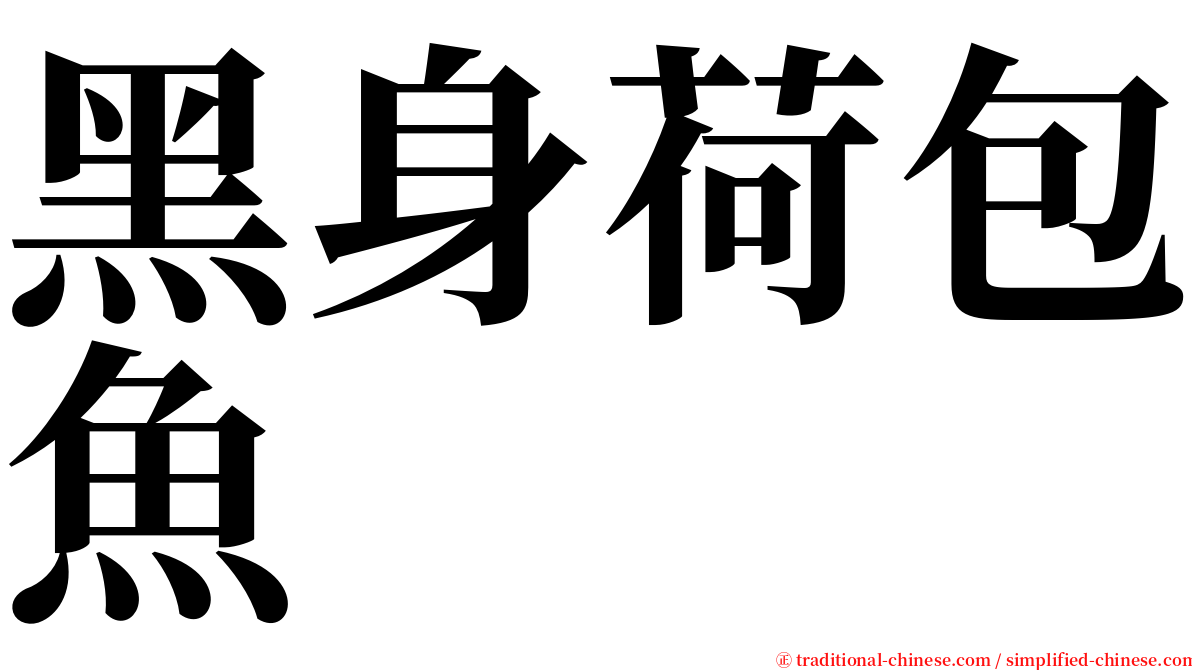 黑身荷包魚 serif font