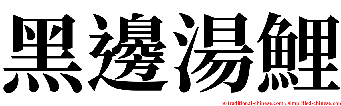 黑邊湯鯉 serif font