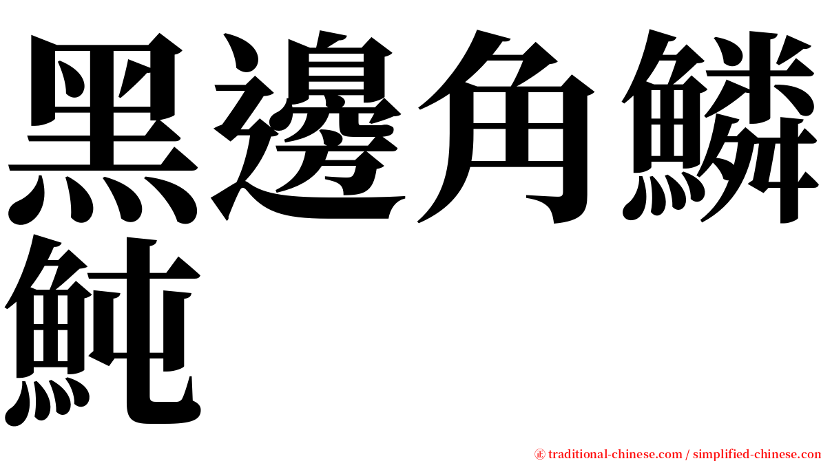 黑邊角鱗魨 serif font