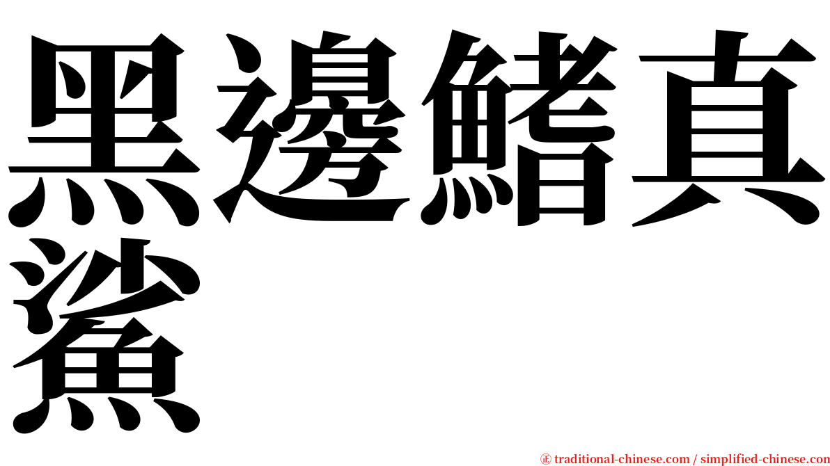 黑邊鰭真鯊 serif font