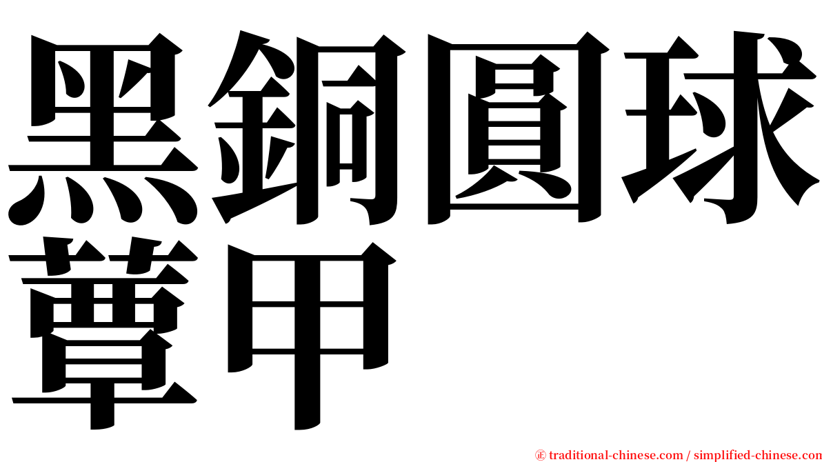 黑銅圓球蕈甲 serif font